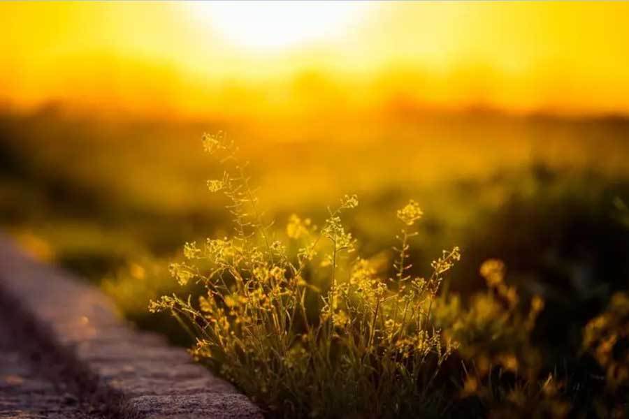 业发布新投影仪画质亮凯时尊龙人生科技企